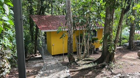 The cabin from street view 