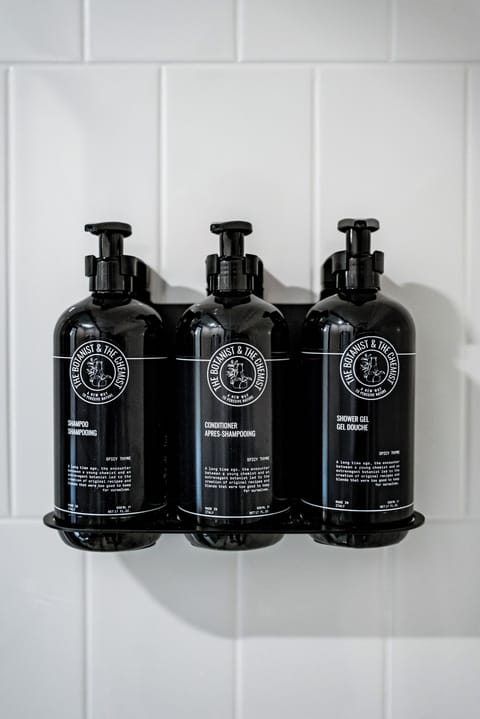 Hair dryer, towels, soap, shampoo