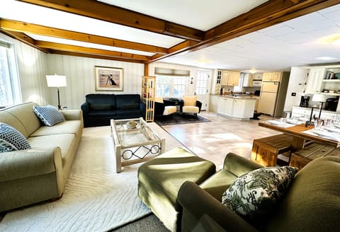 Large living area and pull out sofa for overflow guests