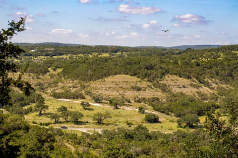 Another view from the deck as you sip your coffee or beverage.
