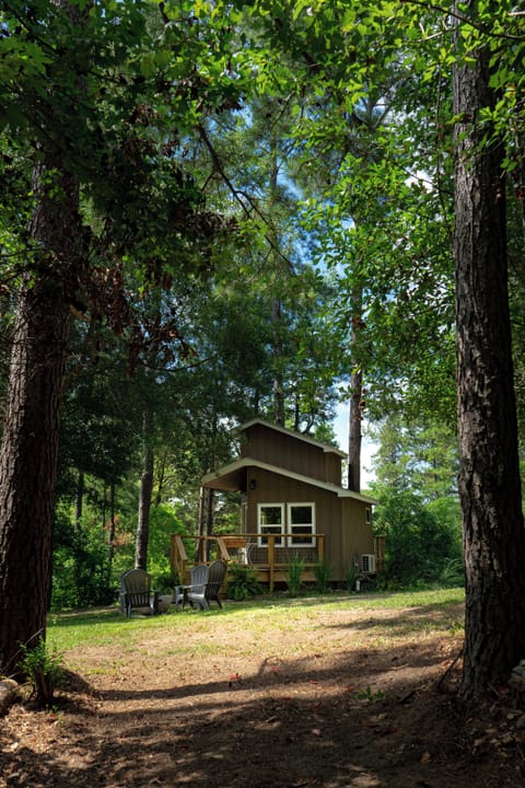 Trail up to the Owls Nest Treehouse 