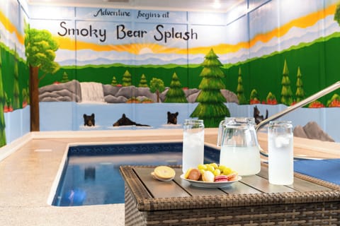Smoky Bear Splash Mural by Local Artist