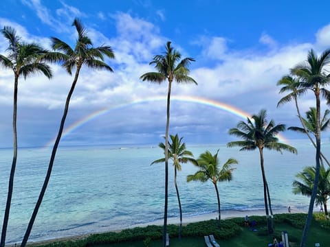 The view from our lanai! We often see rainbows, turtles, whales and monk seals.