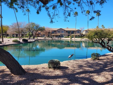 Lakes around property