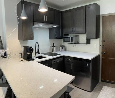 Kitchen with large counter