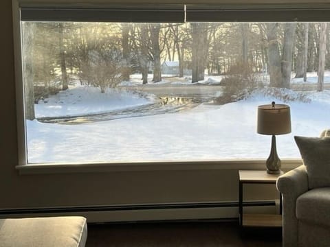 Looking out front bay window