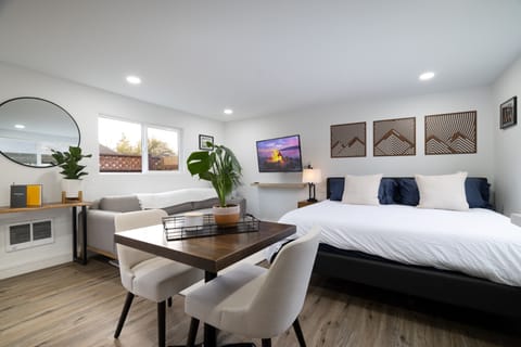 Living/bedroom space