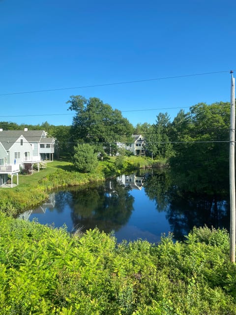 View out the kitchen window :)