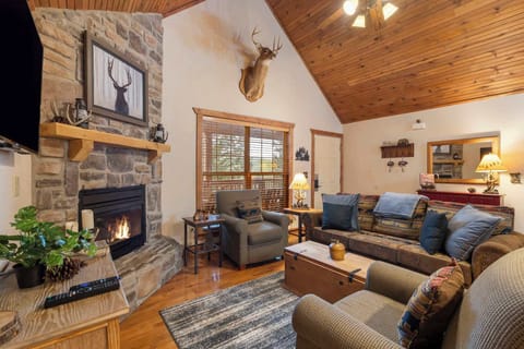 Cabin, Multiple Beds, Patio, Mountain View (Simon’s Treetop Cabin) | Living area | 42-inch flat-screen TV with digital channels, fireplace