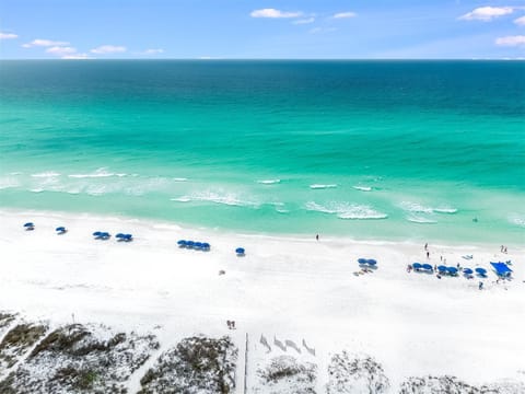 Condo, 1 King Bed (10D, The Beach Nest) | Beach