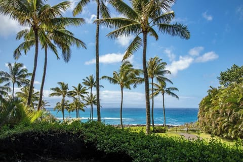 Palm trees and ocean breezes, where blue water meets the horizon just beyond your manicured lawn at The Resort at Kapalua Bay.  