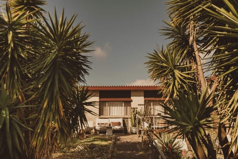 4 bedroom mid-century home with ocean views - backs onto Royal National Park