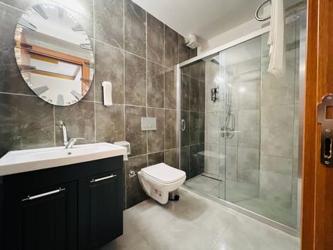 Shower, hair dryer, bathrobes, bidet