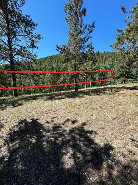 Bumps, Spikes, & Volleys !!