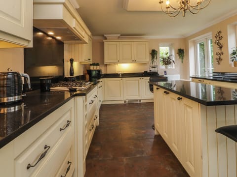 Fridge, dishwasher, electric kettle, toaster