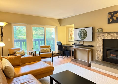 Stylish living room with a fireplace and TV setup.