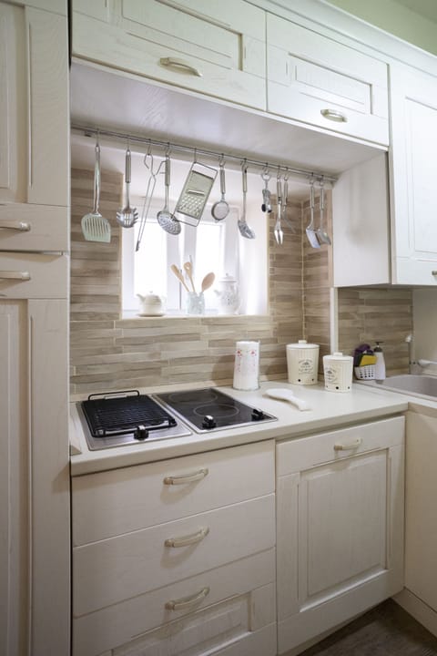 Deluxe Apartment | Private kitchen | Full-size fridge, oven, stovetop, electric kettle