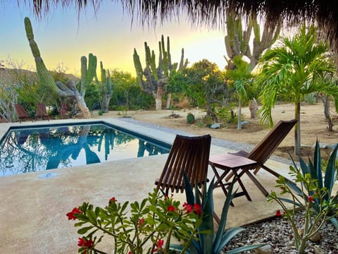 Pool and garden views from the palapa. You'll never want to leave this spot.