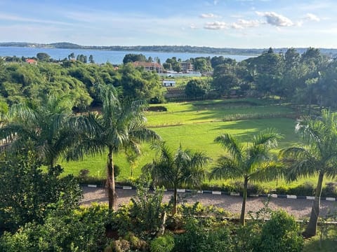 Lake view
