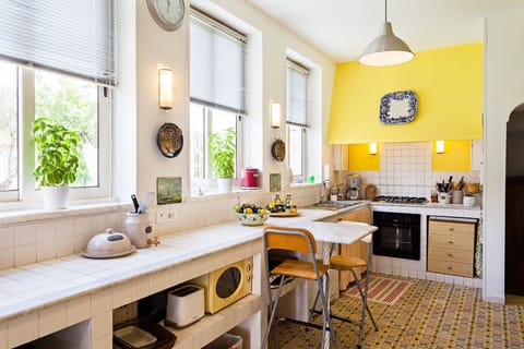 Property, Window, Furniture, Plant, Table, Cabinetry, Countertop, Kitchen, Interior Design