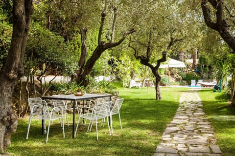 Plant, Furniture, Table, Tree, Branch, Natural Landscape, Shade, Chair, Grass, Outdoor Furniture
