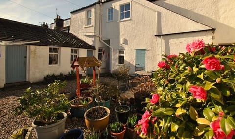 The Old Surgery is a welcoming holiday apartment