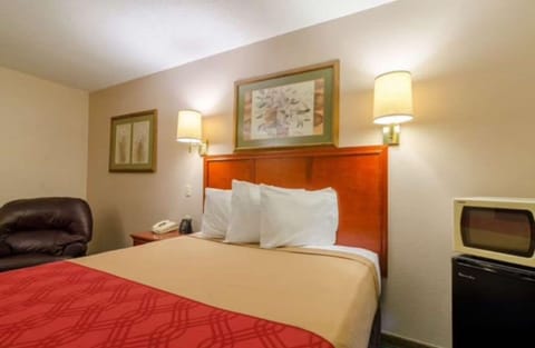 Standard Single Room | Premium bedding, memory foam beds, desk, free WiFi