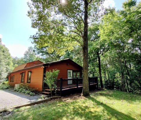 Come sit a spell and enjoy the forest at the Perfectly Imperfect Cabin in TN