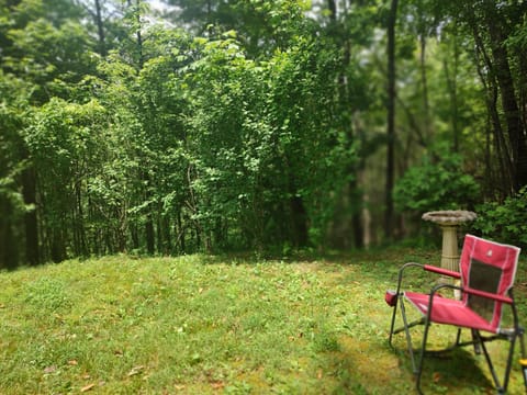 Front-row seat to natureâs quiet show. Bring your coffee, it'll supply the birds.
