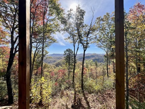 Fall Foliage Mountain View