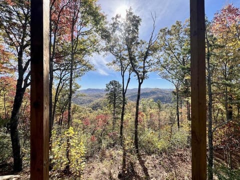 Fall Foliage Mountain View