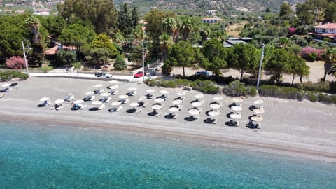 Private beach nearby, free beach shuttle
