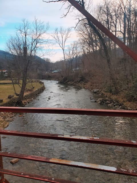 Spring Creek from Red Bridge