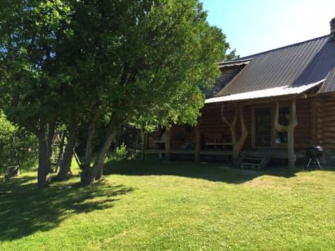 Cabin 8