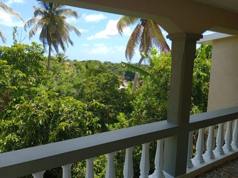 House | Property grounds