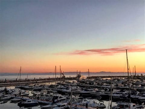 Marina