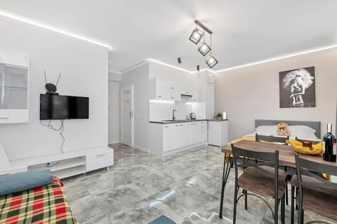 salon z aneksem kuchennym
