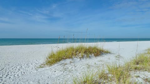 Condo, 1 King Bed (Emerald Isle 101) | Beach | On the beach