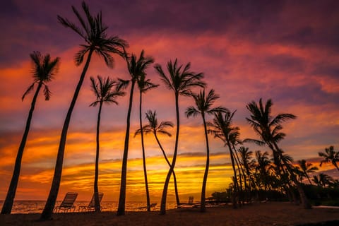 This is the beach in front of Kolea.  Gorgeous sunsets.
