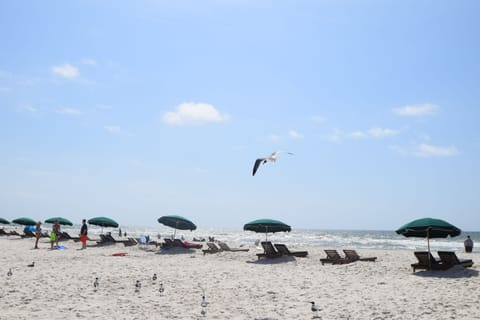 Beach nearby