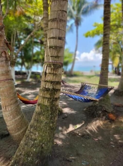 Tranquility and Relaxation 