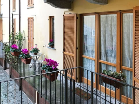 Flower, Plant, Building, Property, Flowerpot, Window, Houseplant, Door, Wood