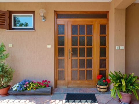 Plant, Flower, Property, Photograph, Flowerpot, Window, Houseplant, Building, Door