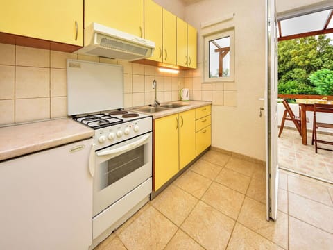 Apartment, Kitchen, Room, Major Appliance, Wood Stain, Countertop, Cabinetry, Kitchen Appliance, Houseplant, Kitchen Sink