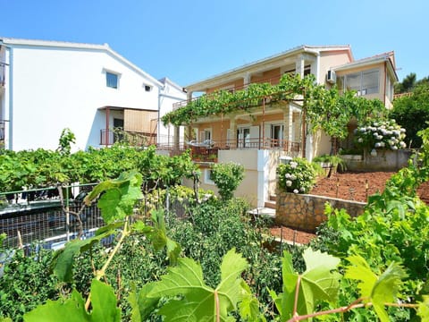 Plant, Building, Sky, Window, Property, Plant Community, House, Tree, Vegetation, Land Lot