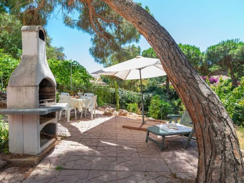 Plant, Furniture, Property, Sky, Plant Community, Tree, Outdoor Furniture, Shade, Leisure, Landscape