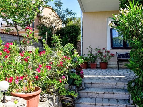 Plant, Flower, Property, Flowerpot, Building, Houseplant, House, Window, Grass, Tree