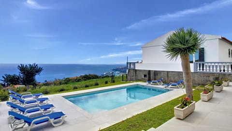 A picturesque retreat featuring a refreshing pool overlooking the sparkling ocean, #villa #avocado #oceanview #sunbeds #funchal