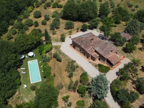 Plant, Property, Tree, Land Lot, Natural Landscape, Urban Design, Residential Area, Landscape, Real Estate, Rural Area