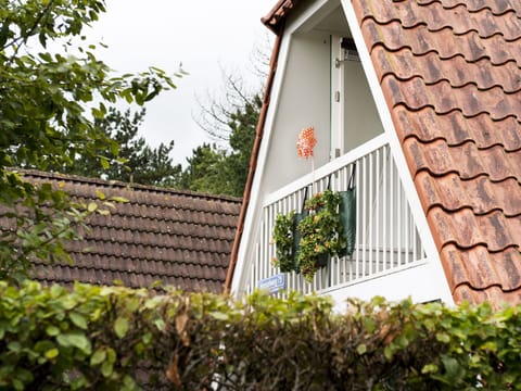 Plant, Window, Building, Wood, House, Grass, Tints And Shades, Cottage, Facade